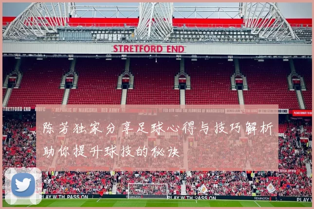 陈芳独家分享足球心得与技巧解析助你提升球技的秘诀